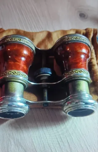 Prismáticos antiguos con funda