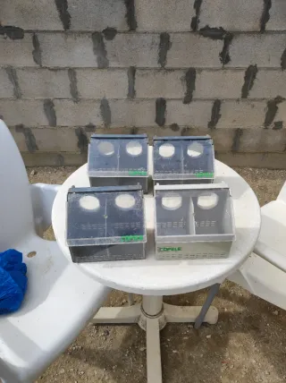 4 Comederos para Palomas