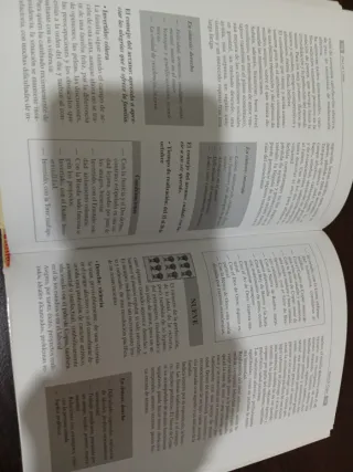 El Lenguaje Secreto del Tarot (Spanish Edition)