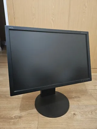 Monitor NEC Multisync Negro