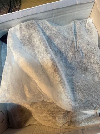 Botines burdeos charol talla 37