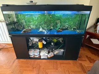 Acuario 300L