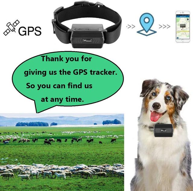 Winnes TK935 Localizador GPS Perros Collar GPS
