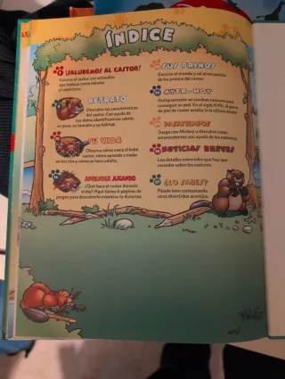 El Maravilloso Mundo de los Animales -los castores