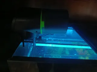 Pecera de 30 L completa con accesorios