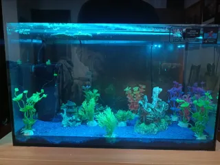 Pecera de 30 L completa con accesorios