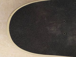 Skate Globe Egg With The Lot