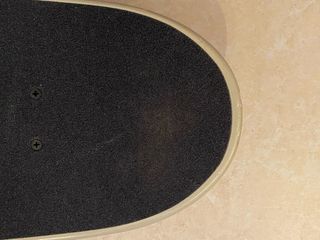 Skate Globe Egg With The Lot