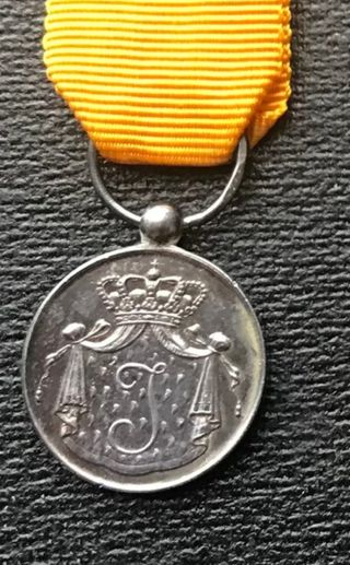 Lote 2 medallas militares plata Holanda