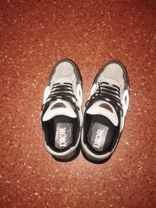 Dior B30 Sneakers Grises y Blancas