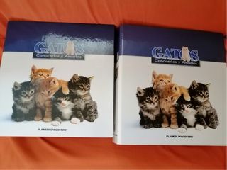Collezione Gatti Planeta DeAgostini