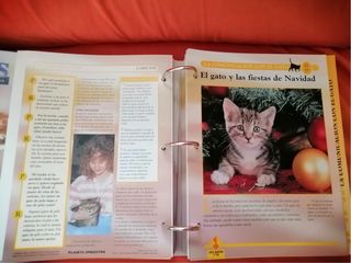 Collezione Gatti Planeta DeAgostini