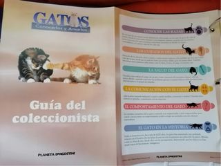 Collezione Gatti Planeta DeAgostini