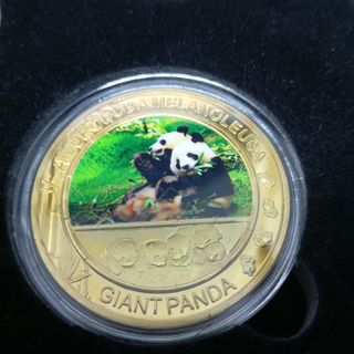 COLLEZIONE DI MONETE IN ASTUCCIO PANDA