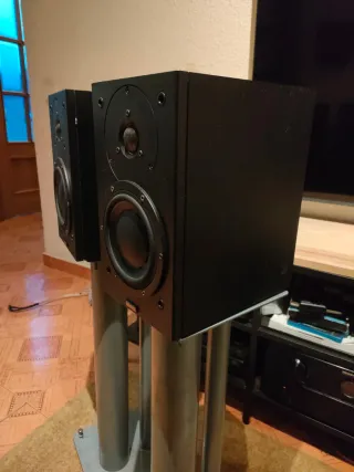 Dynaudio audence 42