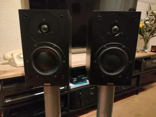 Dynaudio audence 42