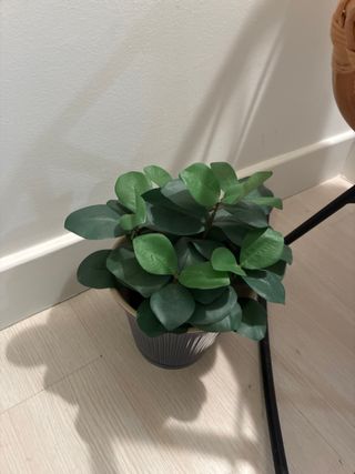 Planta Artificial Pequeña