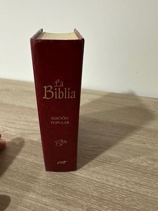 La Biblia: (cubierta cartoné)