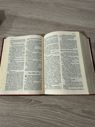 La Biblia: (cubierta cartoné)