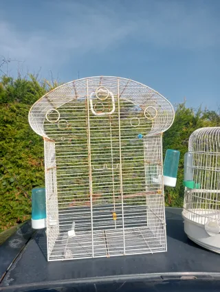 Jaulas para pájaros doradas y blancas