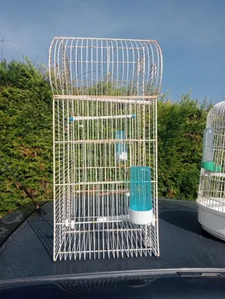 Jaulas para pájaros doradas y blancas