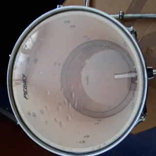 Peavey Vintage Toms 12 y 13