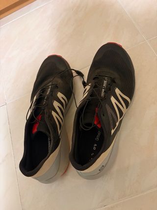 Salomon Sense Ride 4 Beige/Negro