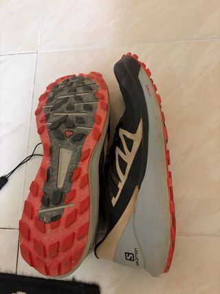 Salomon Sense Ride 4 Beige/Negro