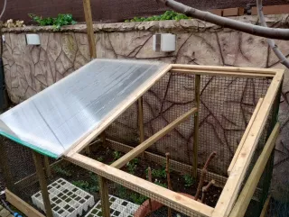 Gallinero/Jaula/Corral para animales