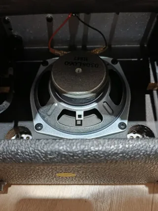 Amplificador Washburn WA10G 10W