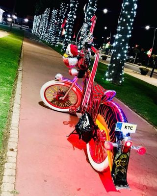 Bicicleta Eléctrica Personalizada