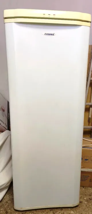 Congelador vertical 6 cajones