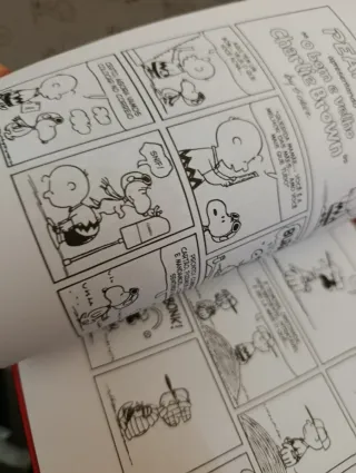 Snoopy _ Edição de colecionador