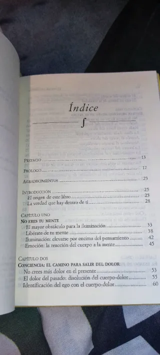 El poder del ahora/ The Power of Now: Un camino...