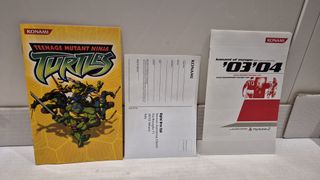 Teenage Mutant Ninja Turtles PS2