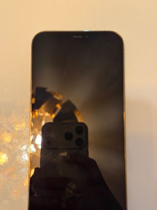 iPhone 12 Pro Max Oro 128GB