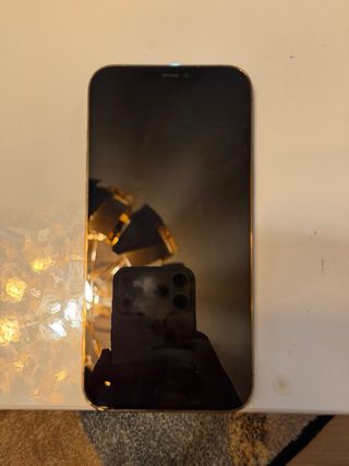 iPhone 12 Pro Max Oro 128GB