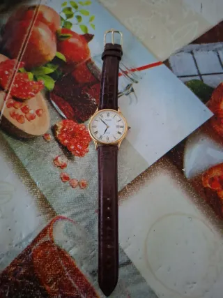 Orologio da polso Pulsar oro e marrone