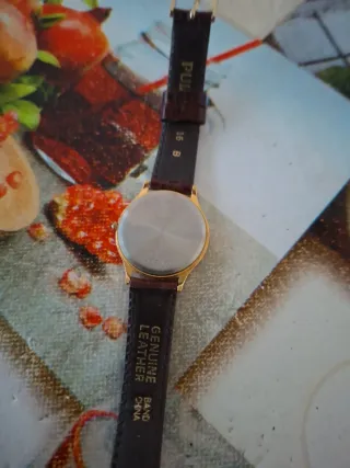 Orologio da polso Pulsar oro e marrone