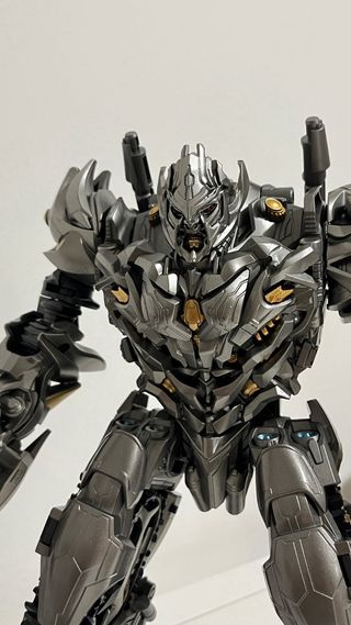 Megatron ROTF Oversize Transformers