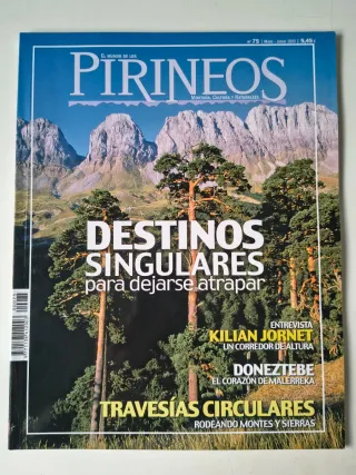 Lote de revistas Pirineos