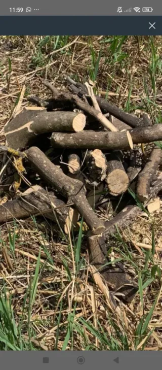 Leña de naranjo para chimenea
