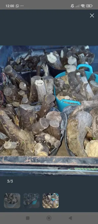 Leña de naranjo para chimenea