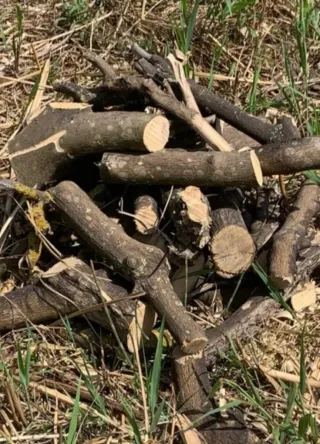 Leña de naranjo para chimenea