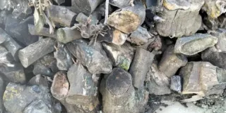 Leña de naranjo para chimenea