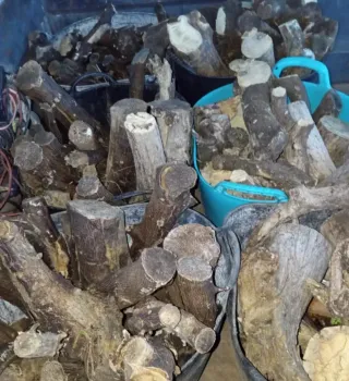 Leña de naranjo para chimenea