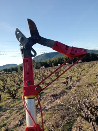 Tijeras de podar extensibles