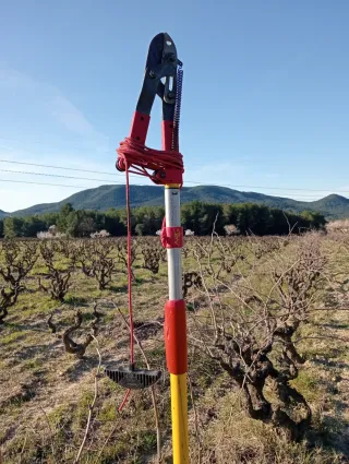 Tijeras de podar extensibles