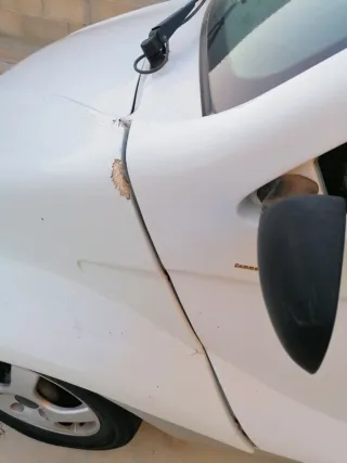 Giotti Victoria Ginko 2002