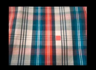 Camisa de cuadros de Purificación García